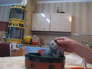 blog-14822-1298378118_thumb.jpg