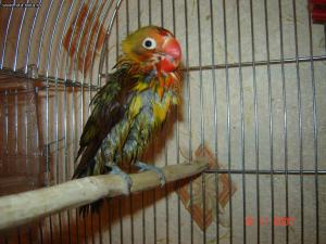 blog-15097-1213359269_thumb.jpg