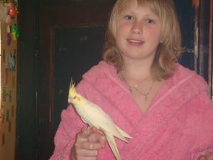 blog-15132-1214029362_thumb.jpg