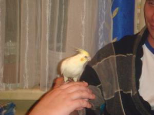 blog-15132-1214029494_thumb.jpg