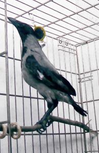 blog-15312-1214317818_thumb.jpg