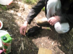 blog-15452-1214600763_thumb.jpg