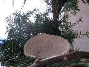 blog-16016-1237559134_thumb.jpg