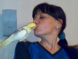 blog-16334-1225568771_thumb.jpg