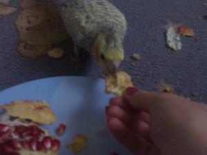 blog-16663-1223458094_thumb.jpg