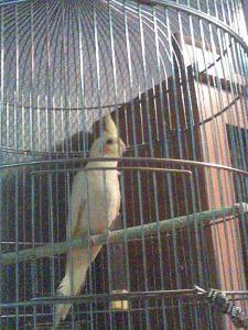 blog-17059-1224423039_thumb.jpg