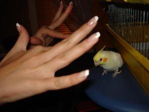 blog-17059-1226781538_thumb.jpg