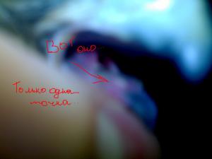 blog-17209-1230052880_thumb.jpg