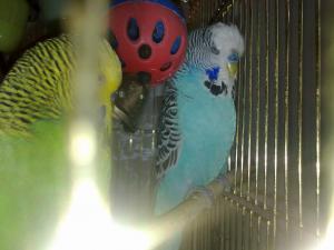 blog-17512-1284918236_thumb.jpg