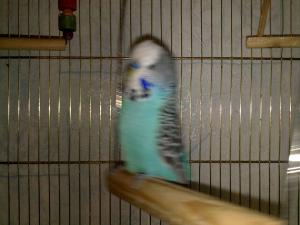 blog-17512-1284918261_thumb.jpg
