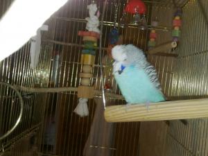 blog-17512-1286804323_thumb.jpg
