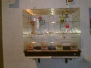 blog-17512-1286804334_thumb.jpg