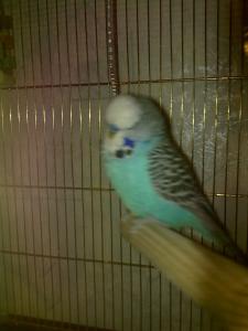 blog-17512-1287225413_thumb.jpg