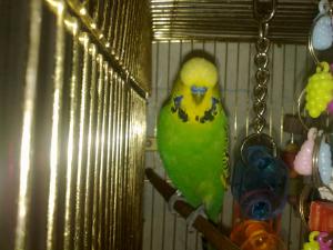 blog-17512-1287225486_thumb.jpg