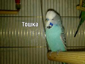 blog-17512-1287225504_thumb.jpg