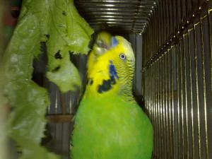blog-17512-1287225515_thumb.jpg