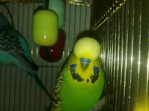 blog-17512-1292172193_thumb.jpg
