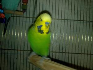blog-17512-1292172245_thumb.jpg
