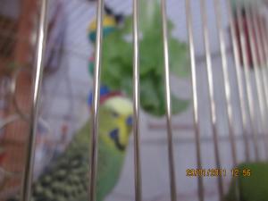 blog-17512-1300514067_thumb.jpg