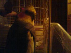 blog-17521-1235032268_thumb.jpg