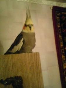 blog-17521-1238654287_thumb.jpg