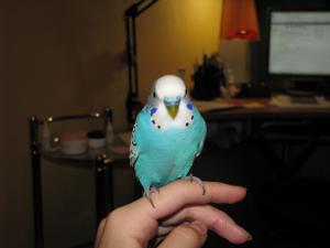 blog-17965-1264449793_thumb.jpg