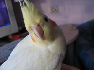 blog-18120-1233733725_thumb.jpg