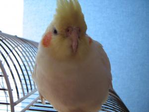 blog-18120-1233733848_thumb.jpg