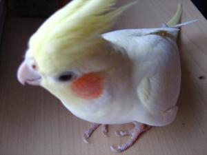 blog-18120-1298141722_thumb.jpg