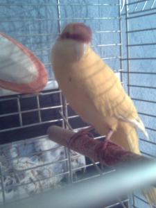 blog-18400-1231881313_thumb.jpg