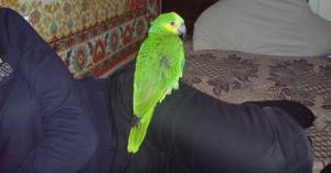 blog-18412-1296928346_thumb.jpg