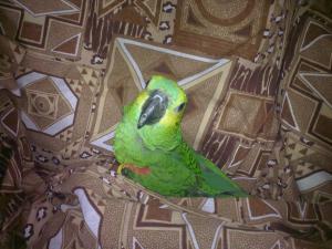 blog-18412-1297540199_thumb.jpg