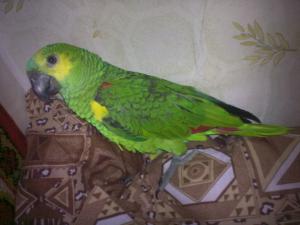 blog-18412-1297540234_thumb.jpg
