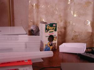 blog-18435-1232561004_thumb.jpg
