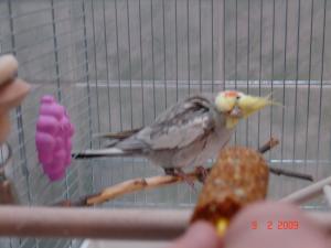 blog-18936-1240687954_thumb.jpg
