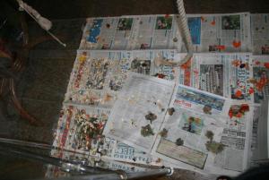 IMG_9582.JPG