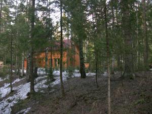 blog-19638-1303753458_thumb.jpg