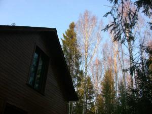 blog-19638-1303753542_thumb.jpg