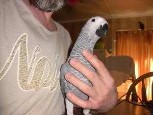 blog-19638-1303891332_thumb.jpg