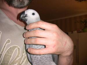 blog-19638-1303891345_thumb.jpg