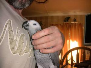 blog-19638-1303891357_thumb.jpg