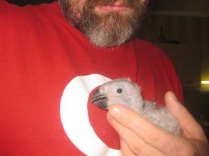 blog-19638-1305901385_thumb.jpg