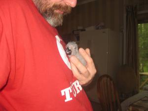 blog-19638-1305901404_thumb.jpg