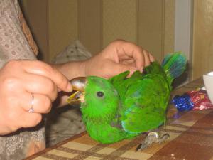 blog-19638-1305901462_thumb.jpg