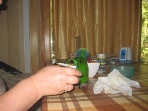 blog-19638-1305901475_thumb.jpg
