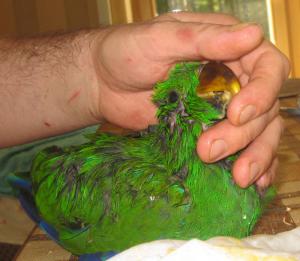 blog-19638-1306753809_thumb.jpg