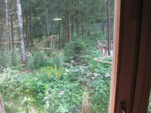 blog-19638-1309785971_thumb.jpg