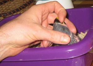blog-19638-1311013138_thumb.jpg