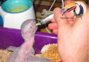 blog-19638-1315505151_thumb.jpg