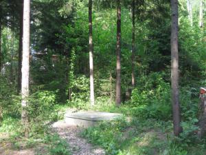 blog-19638-1337620882_thumb.jpg